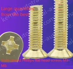 Golden Flat Head Screws M6*200