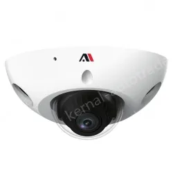 3 million AI intelligent anti-riot network cameras