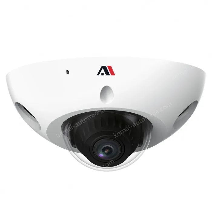 3 million AI intelligent anti-riot network cameras