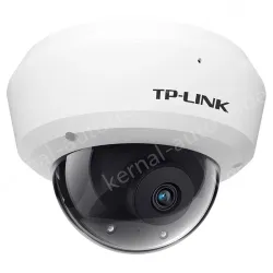 H.265 4 million vandal-proof IP camera