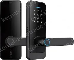 Smart door lock C89