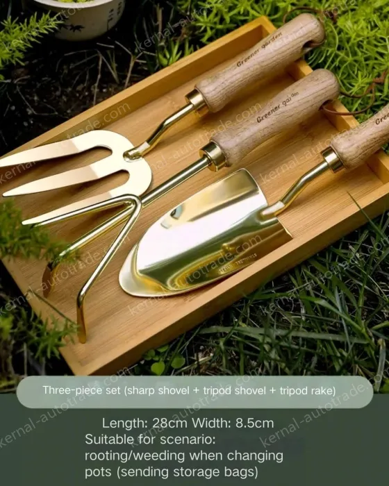 Cocoa Tea Gold High-value gardening three-piece set