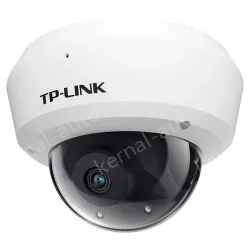 H.265 4 million vandal-proof IP camera