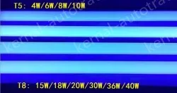 T8 10W BL insect killer lamp