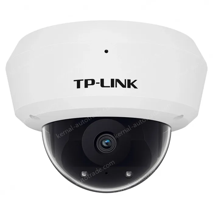 H.265 4 million vandal-proof IP camera