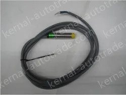 M12 Domenzi Inductive proximity switch NI5-M12-AN6X