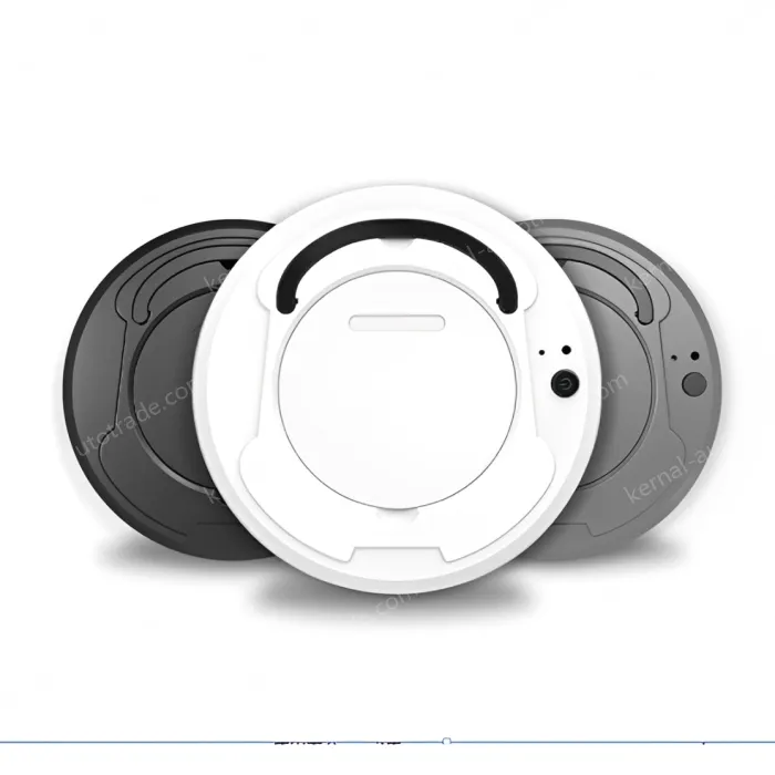 Sweeping robot ZNSDJQR-3