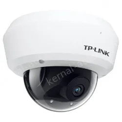 H.265 4 million vandal-proof IP camera
